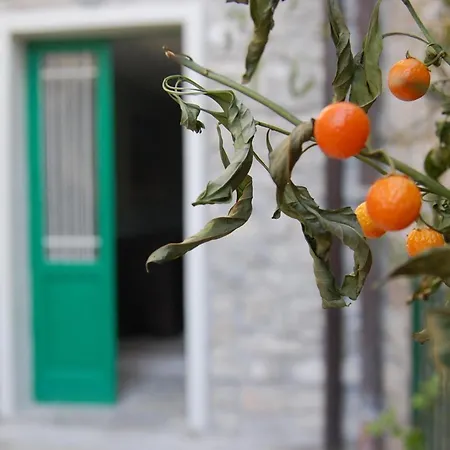 Prima Del Cielo -appartamento Monti * Esino Lario