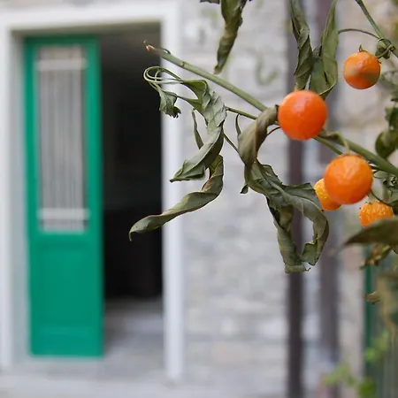 Prima Del Cielo -appartamento Monti Apartment Esino Lario