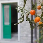 Prima Del Cielo -appartamento Monti Apartment Esino Lario